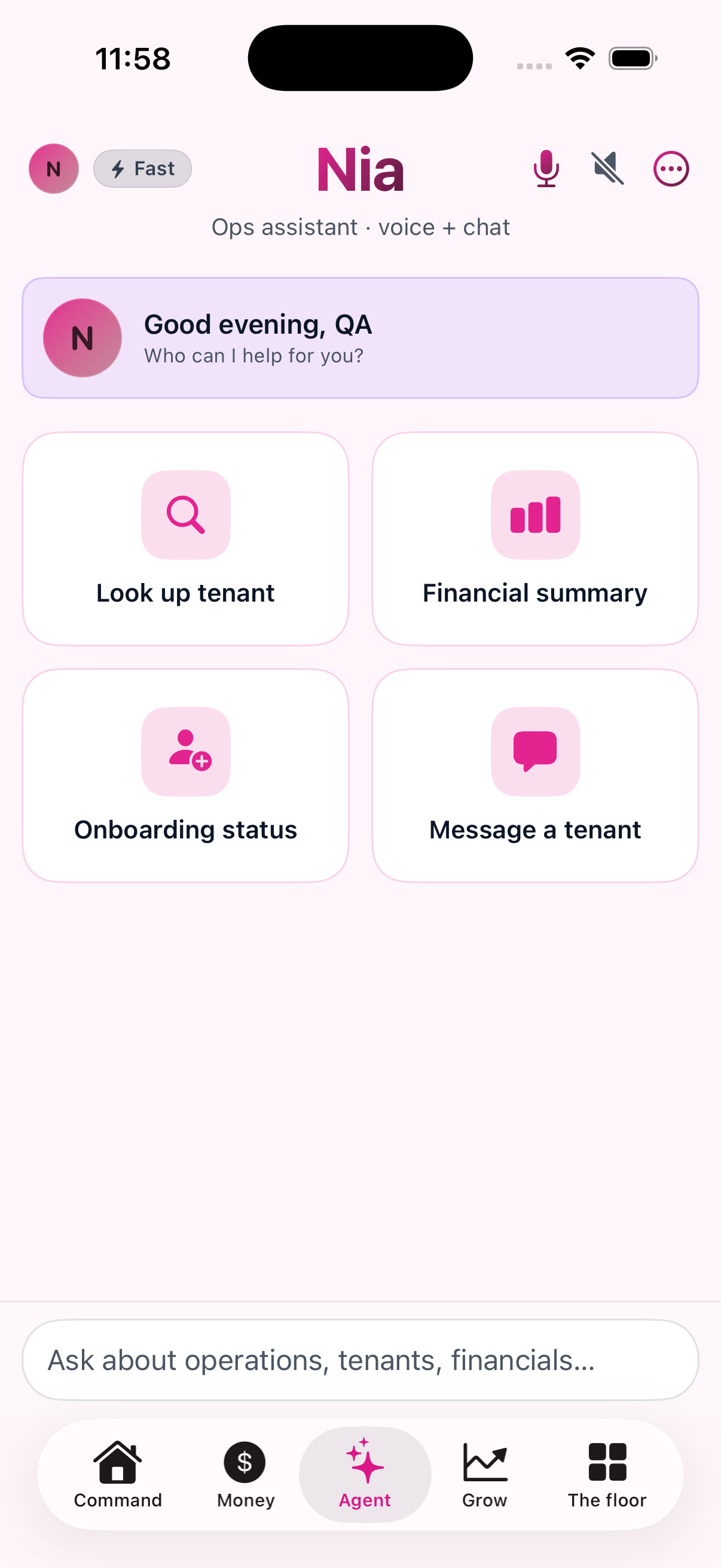 Agent &mdash; A voice and chat assistant over the operator's own data, not a general chatbot.