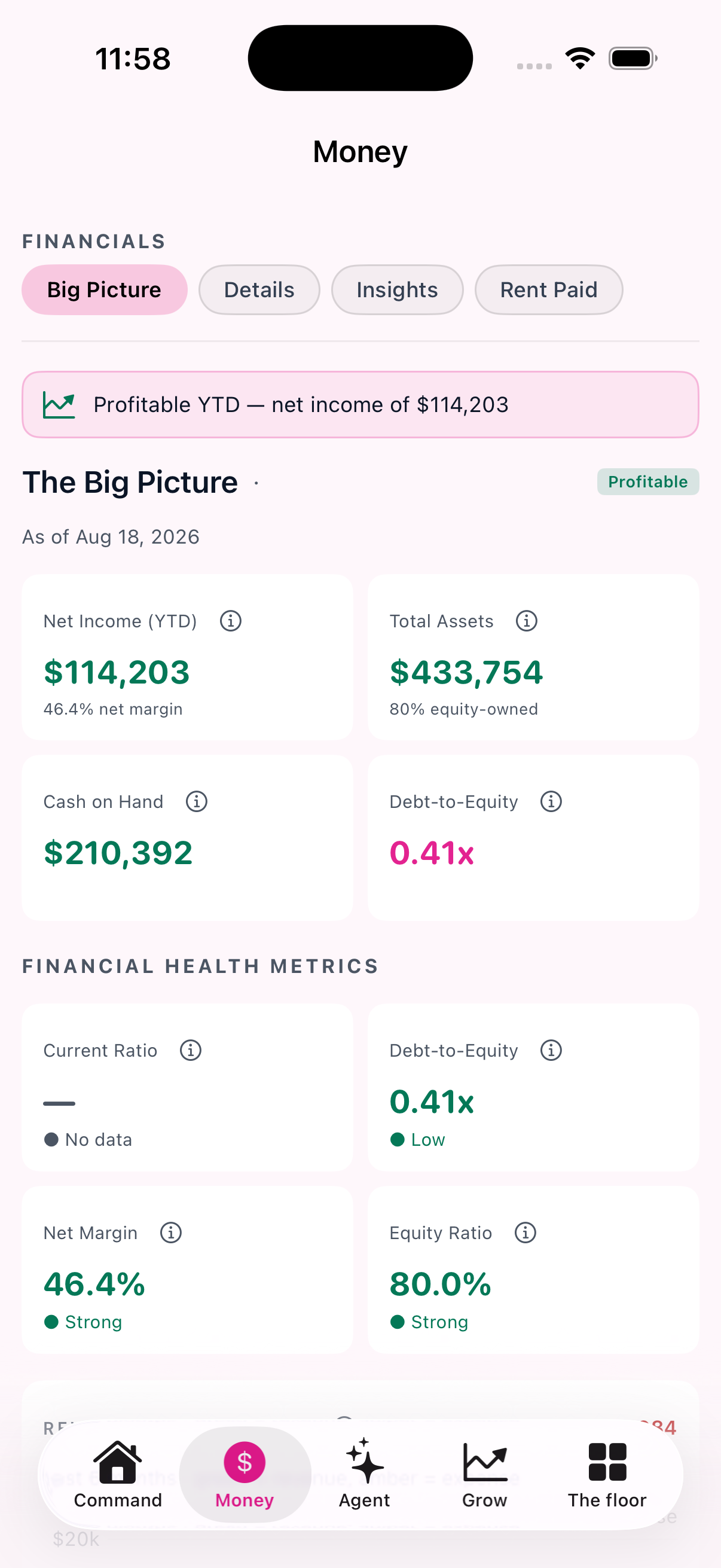 Money &mdash; The books read by the system: net income, assets, cash on hand, and the health ratios behind them.